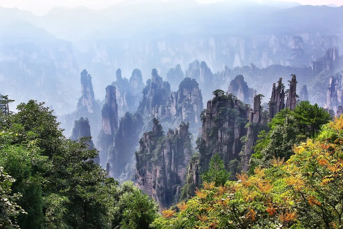 Sandstone pillar of Zhangjiajie shrouded in morning mist